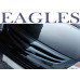 artx eagles carbon radiator grille hyundai ix55 2007-13